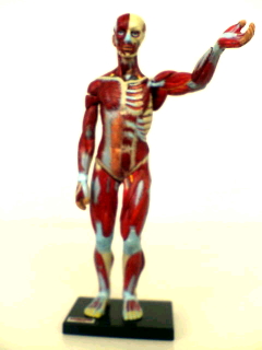 �ؓ�����